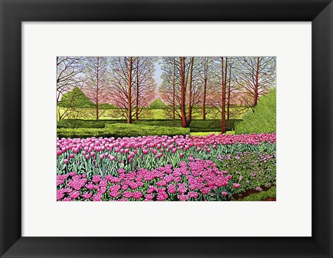 Framed Tulips At Longwood Gardens I, Kennett Square Pa Print