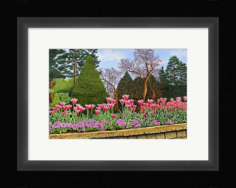 Framed Tulips At Longwood Gardens III, Kennett Square Pa Print