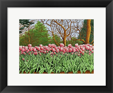 Framed Tulips At Longwood Gardens Vi, Kennett Square, Pa Print