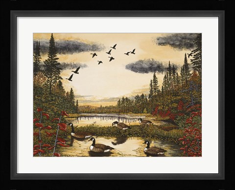 Framed Canada Geese Print