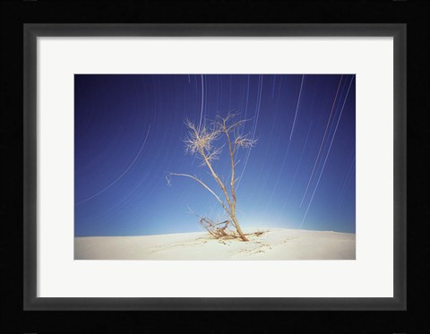 Framed Bright Cottonwood Drum Print