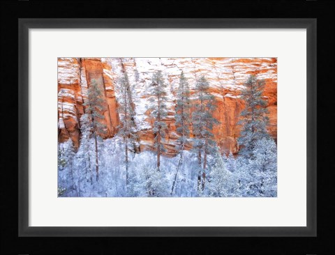 Framed Ponderosa Sandstone Print