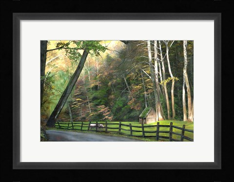 Framed Cuttalossa Print