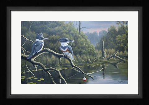 Framed Fisherman's Luck, Belted Kingfishers Print