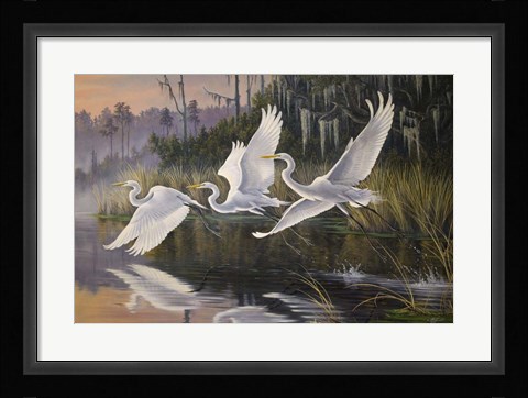 Framed Morning Departure Egrets Print