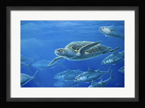 Framed Sea Turtle Print