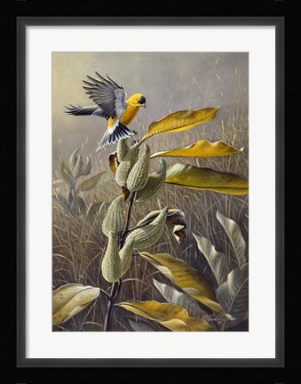 Framed Meadow Gold Print