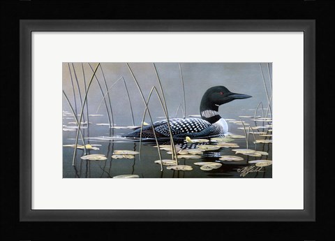 Framed Loon In Reeds Print
