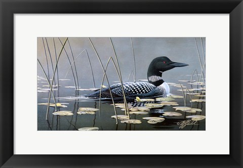 Framed Loon In Reeds Print