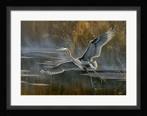Framed Misty Flight Print