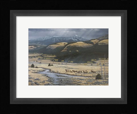 Framed Big Valley Elk Print