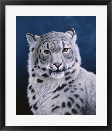 Framed Young Snow Leopard Print
