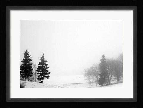 Framed Contrast Print