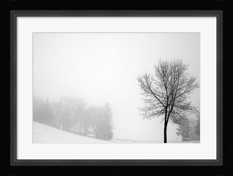 Framed Sentinel Print