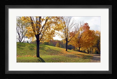 Framed Sunlight And Shadows Print