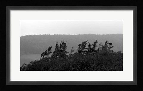 Framed View from the Cape II Print