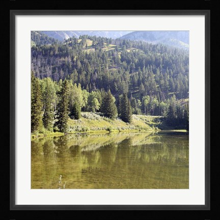 Framed Reflections I Print