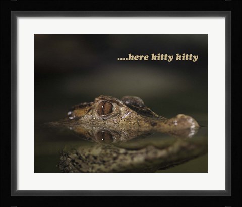 Framed Here Kitty Gator Print