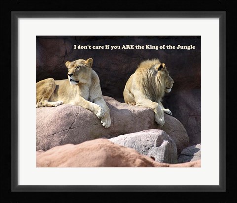 Framed King of the Jungle Lion Print