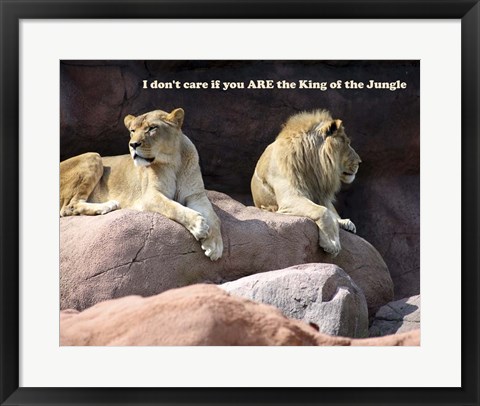Framed King of the Jungle Lion Print