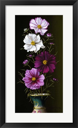 Framed Four Cosmos Print