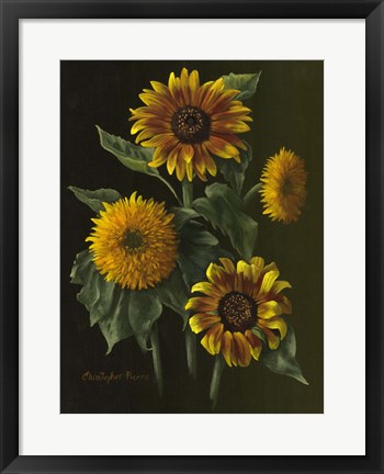 Framed Four Sunflowers Print