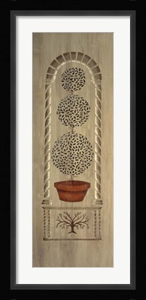 Framed 34 Topiary 3 Print