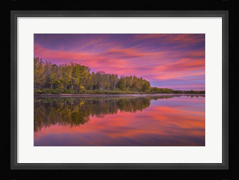 Framed Autumn Splendor Print