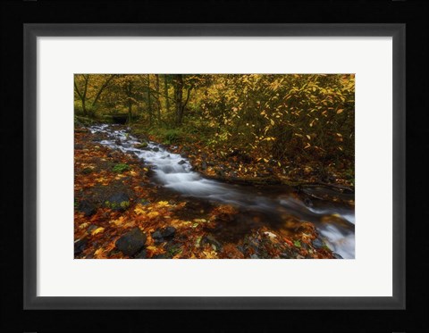 Framed Creekside Colors Print