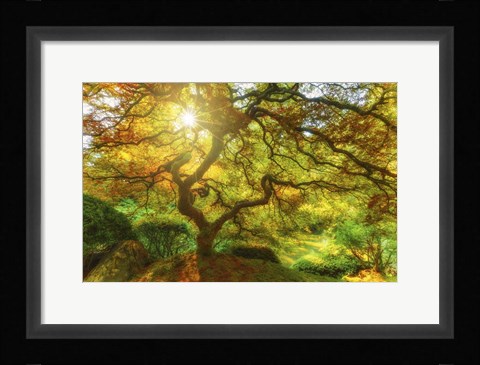 Framed Good Morning Sunshine Print