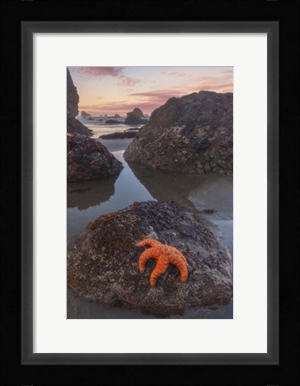 Framed Battle Rock Sunrise Print