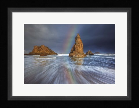 Framed Seagull Storm Watch Print
