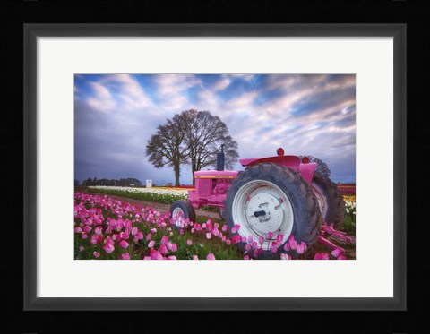 Framed Jane Deere Print