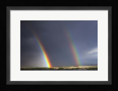 Framed Natures Twin Towers Print