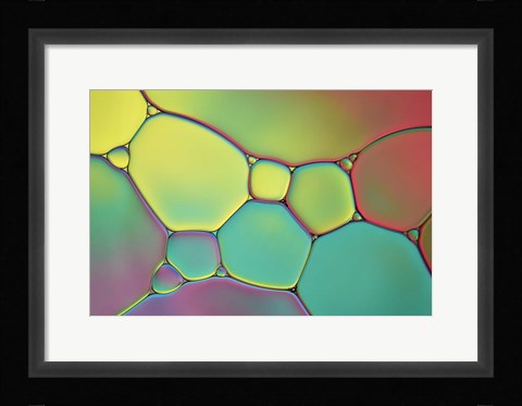 Framed Stained Glass I Print