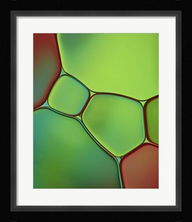 Framed Stained Glass IV Print