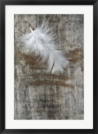 Framed White Feather on Wood Print