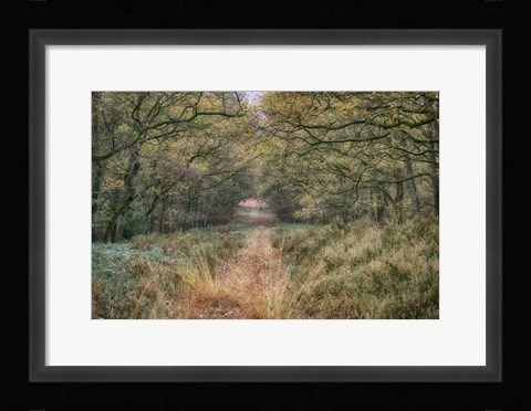 Framed Autumn Walk Print