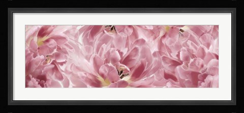 Framed Pink Tulips Scape Print
