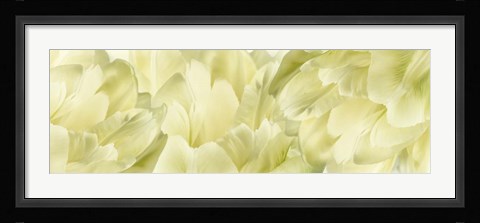 Framed Yellow Tulip Scape Print