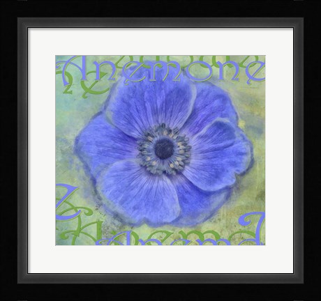 Framed Anemone Print