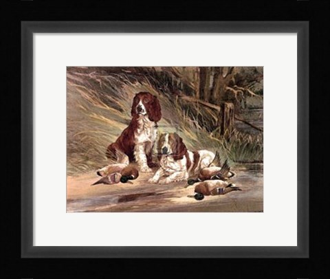 Framed Duck Today-Tomorrow ? Print