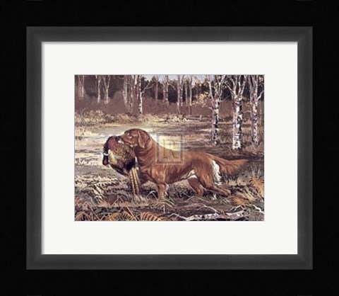 Framed Golden Retriever Print