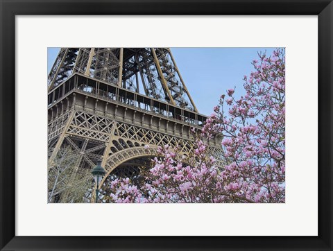 Framed Eiffel Tower with Pink Magnolia Print