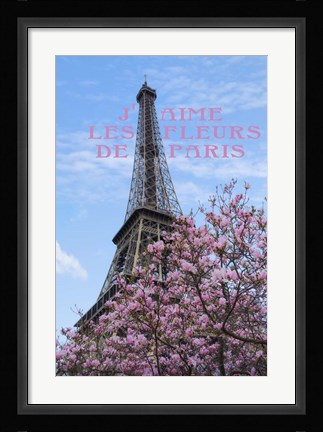 Framed J'aime les Fleur de Paris Print