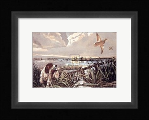 Framed Flight Print