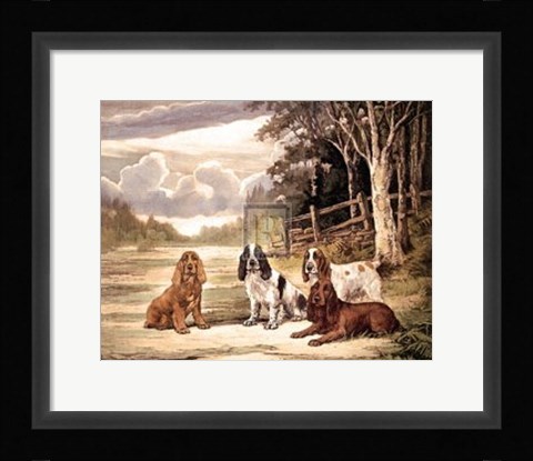Framed Cocker Society Print