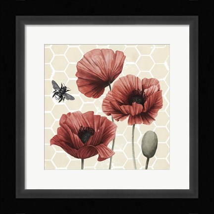 Framed Poppy Buzz I Print