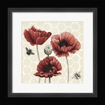 Framed Poppy Buzz II Print