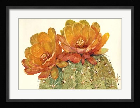 Framed Cactus Blossoms II Print